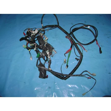 SYM GTS 250 JOYMAX 250 2006 kábelköteg Kabelbaum wiring harness