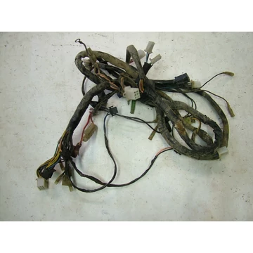 TGB Bullet 50 2001 kábelköteg Kabelbaum wiring harness