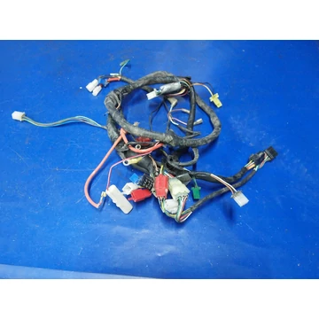 TGB Bullet RR 50 2007 kábelköteg Kabelbaum wiring harness