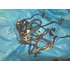 Kép 3/3 - Aprilia RX125 1990-1994 kábelköteg Kabelbaum wiring harness