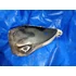 Kép 5/5 - Derbi FDS50 1992 üzemanyag tartály Benzintank Kraftstofftank fuel tank