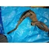 Kép 2/6 - Derbi Senda H 50 Senda R 50 1995- kipufogó Auspuff exhaust