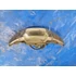 Kép 1/2 - Honda Dio 50 AF27 AF28 1992- első lámpa Scheinwerfer front light