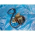 Kép 2/4 - KTM 620 LC4 1998 hátsó fékmunkahenger Bremschattel Brake cylinder