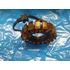 Kép 3/3 - Kawasaki VN1500 Drifter VN1500 Classic 1998-2004 generátor állórész Lichtmaschine alternator