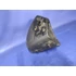 Kép 3/4 - Keeway X RAY50 TX50 2007 üzemanyag tartály Benzintank Kraftstofftank fuel tank
