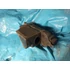 Kép 3/3 - Yamaha YP125 150 Majesty MBK Skyliner 125-150 1998-2000 Malaguti Madison 125 2000  komplett légszűrőház Luftfilter Airfilter