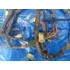Kép 9/9 - Yamaha Jog 50 3YK 1990 Next zone kábelköteg Kabelbaum wiring harness 