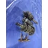Kép 2/5 - Yamaha DT 80 LC2 1993 53V váltó getriebe Gearbox