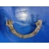 Kép 1/2 - Yamaha DT 80 LC2 1993 53V első féktárcsa védő  Bremsscheibeschutz Brake disc guard