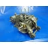 Kép 2/14 - Yamaha Mint 50 1YU Motorblokk