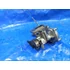 Kép 4/5 - Yamaha YZF 1000 R1 RN01 1999 vízpumpa olajpumpa Wasserpumpe Öilpumpe olpump water pump