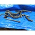 Kép 3/3 - Yamaha YZF 1000 R1 RN01 1999 csavar készlet Kleinteile Schraube set