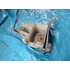 Kép 1/3 - Yiben 50 QT-3 GY 50 Linea Speedy Peugeot V-Clic Vclic Garelli Cilone 4T50 Malaguti Malbo Baotian BT50QT-9 Akkumulátor tartó Battery halter holder
